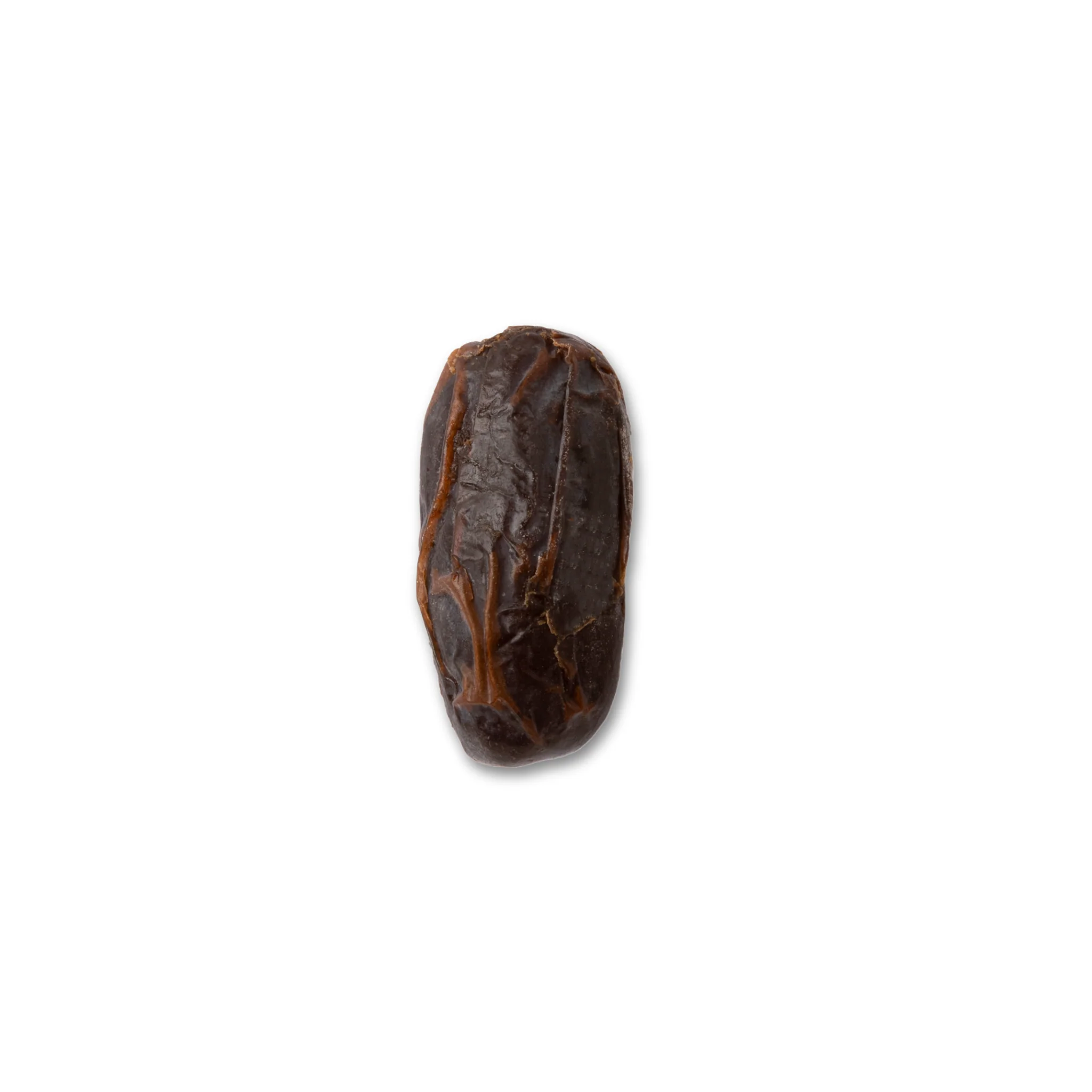 Miniaturebillede 1